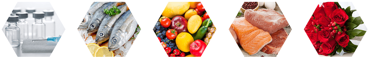 Single Use Temperature Data Logger with LCD 1 230f616211l31